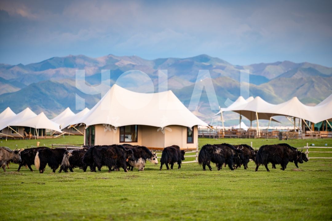 如何將當(dāng)?shù)匚幕谌刖频陰づ裨O(shè)計，讓你體驗真正的異國風(fēng)情